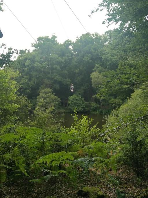 Le Mimosa, Maison De Vacances Trans Kültér fotó