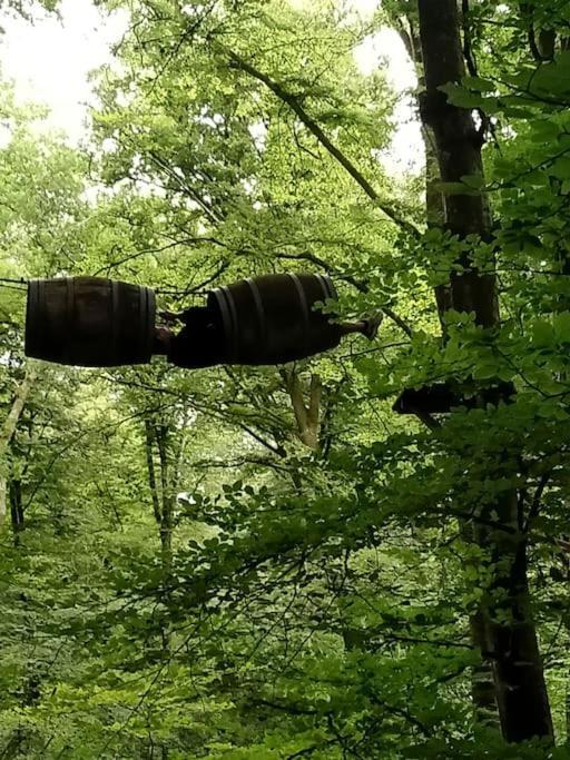 Le Mimosa, Maison De Vacances Trans Kültér fotó